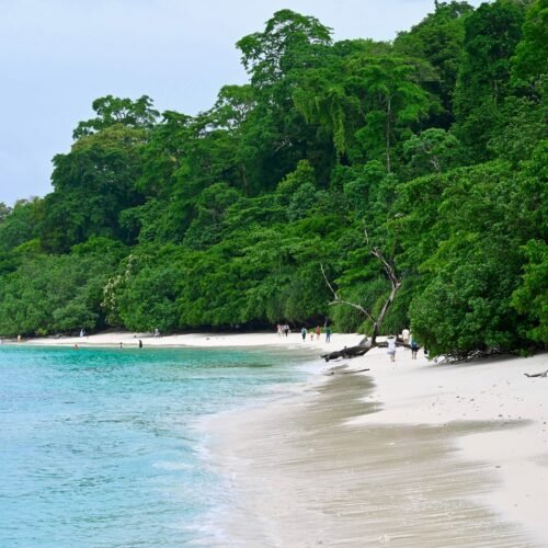 Andaman 4 Nights 5 Days Holiday Package